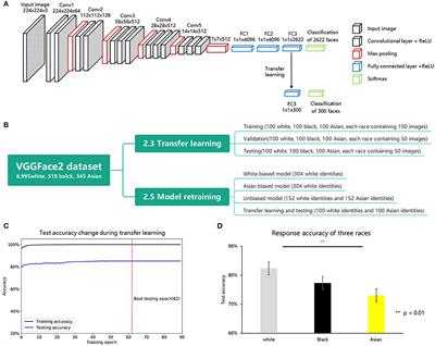 Multidimensional Face Representation in a Deep Convolutional Neural Network Reveals the Mechanism Underlying AI Racism